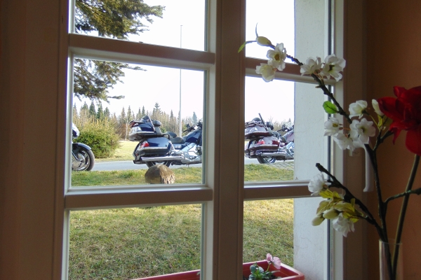 Hotel Waldgasthof Bad Einsiedel